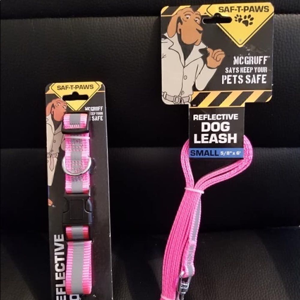 Reflective / Adjustable Dog Leash and Collar Set